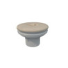Prise balai ASTRAL Prestige pour piscine maçonnerie Liner, couleur au choix