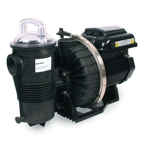 Pompe de Filtration Pentair Challenger VS 2