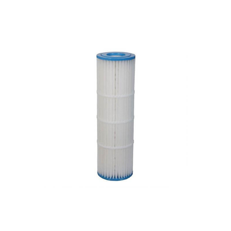 Cartouche de rechange Pentair Clean & Clear