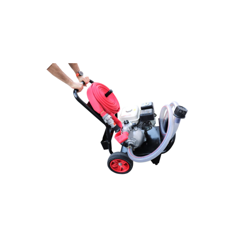 Moto Pompe de protection incendie Poolex POOL SAM