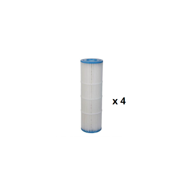 Cartouches de rechange Pentair Clean & Clear +