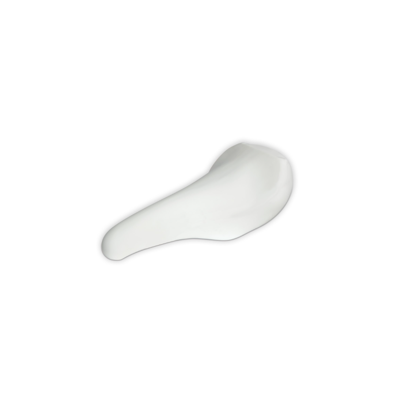 Waterflex Selle Grand Confort pour Waterrider