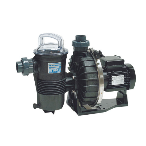 Pompe de Filtration Pentair Challenger