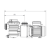 Pompe de Filtration Pentair Swimmey (ex-Nocchi)