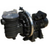 Pompe filtration Sta-Rite (Starite) Serie 5P2R Standard