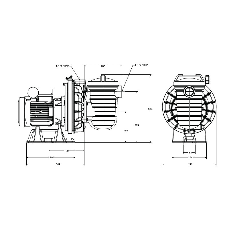 Pompe filtration Sta-Rite (Starite) Serie 5P2R Standard