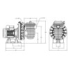 Pompe filtration Sta-Rite (Starite) Serie 5P2R Standard