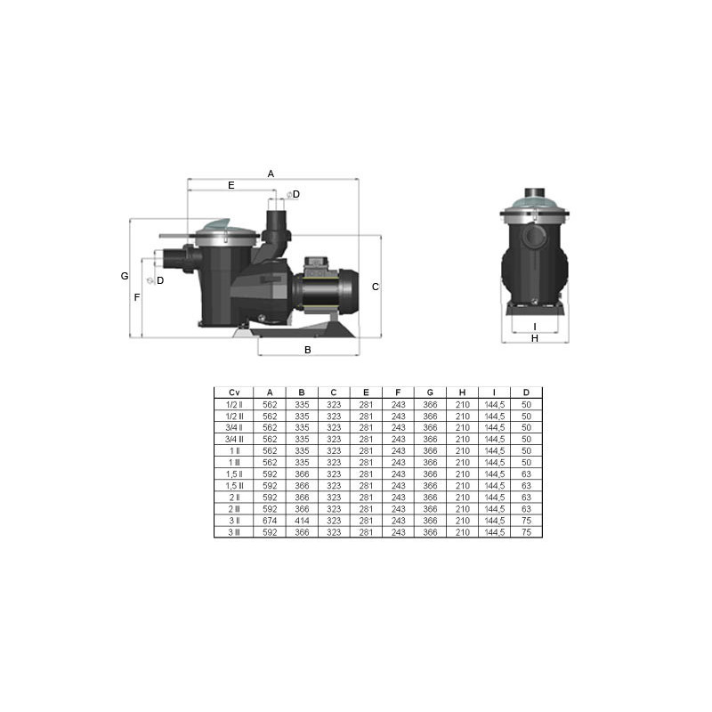 Pompe Filtration Victoria Plus