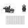 Pompe Filtration Victoria Plus