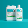 Algicide BAYROL Desalgine Jet préventif algues
