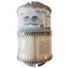 Cartouche filtrante MSpa LF90