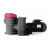 Pompe piscine Procopi Eurostar II 200M 1,3 CV Monophasé 18m3/h - RECONDITIONNÉE