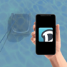 Robot de piscine Dolphin S3000