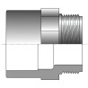 Embout mixte Femelle à coller / Mâle à visser