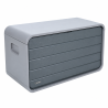 Coffre de rangement extérieur Lifetime 523 L