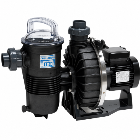 Pompe de Filtration Pentair Challenger