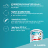 Chlore lent Bayrol Chlorilong Classic Entretien piscine