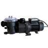 Pompe de Filtration Pentair Swimmey (ex-Nocchi) reconditionnée