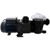 Pompe de Filtration Pentair Swimmey (ex-Nocchi) reconditionnée