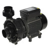 Pompe de filtration ACIS Vipool Solubloc PHT - 2,50cv - RECONDITIONNÉ
