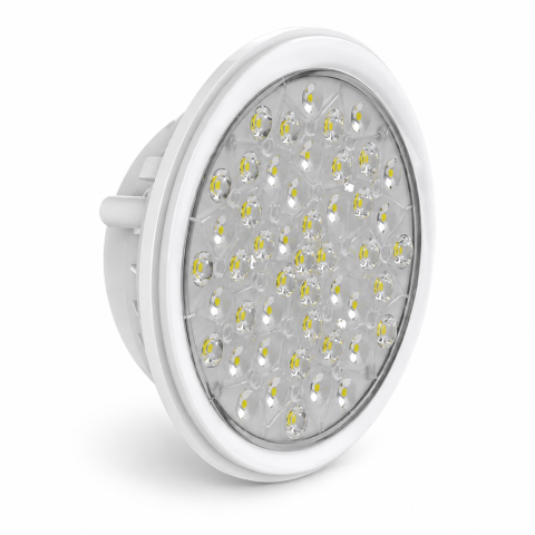 Ampoule LED PAR56 Weltiled 33 LED Blanc froid | 1800 lm
