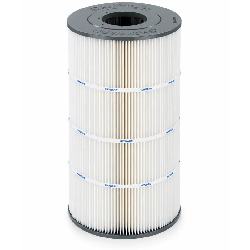 Cartouche Hayward CX100XRE pour SwimClear C100SE