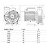 Pompe Centrifuge NCC VIPool