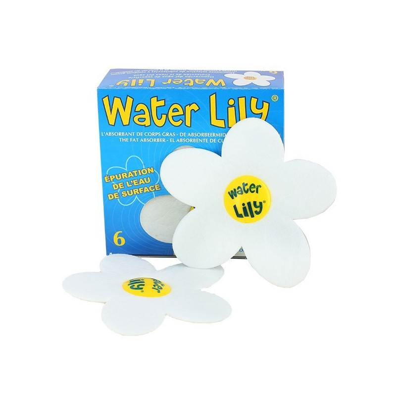 Water Lily - Boîte de 6