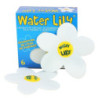 Water Lily - Boîte de 6