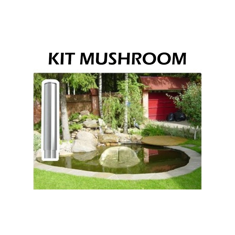Fontaine lumineuse AstralPool Plug & Play - en kit