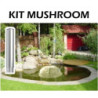 Fontaine lumineuse AstralPool Plug & Play - en kit
