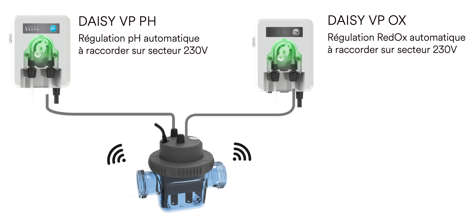 Capture d’écran 2024-10-24 à 09.50.20