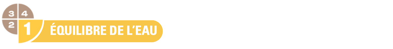 Capture d’écran 2025-06-05 à 11.39.38