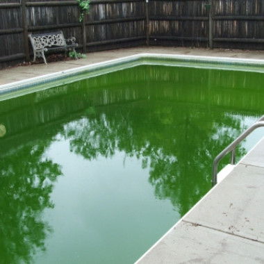 Tout savoir sur l’oxygène actif pour bien traiter sa piscine 