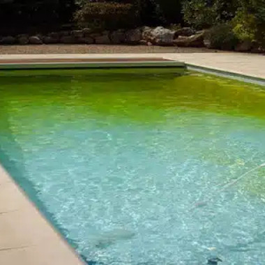 Dites adieu aux algues : guide de l'anti-algues pour une piscine impeccable