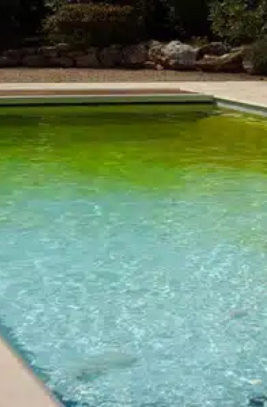 Dites adieu aux algues : guide de l'anti-algues pour une piscine impeccable