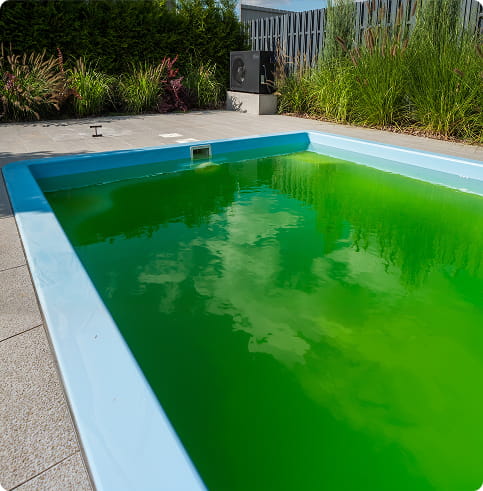 Anti-algues & floculants